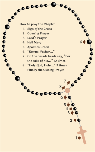 Chaplet of Divine Mercy Intro