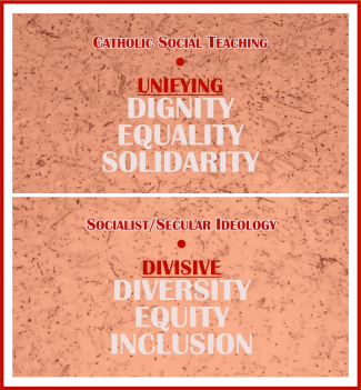 DOES CST SUPPORT DEI