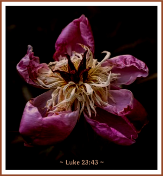 Prayer for the Dying