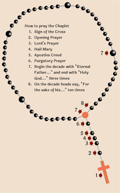 Purgatory Chaplet of Divine Mercy Intro
