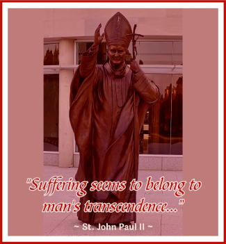 REDEMPTIVE SUFFERING